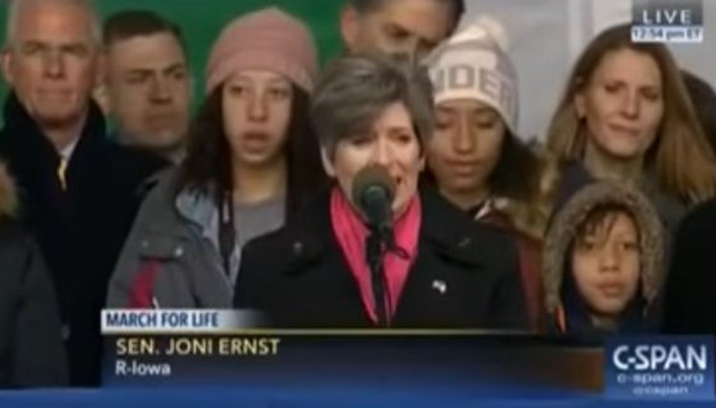 The signature ad of the Iowa Senate race plays up Republican Joni Ernst's skills in castrating hogs.