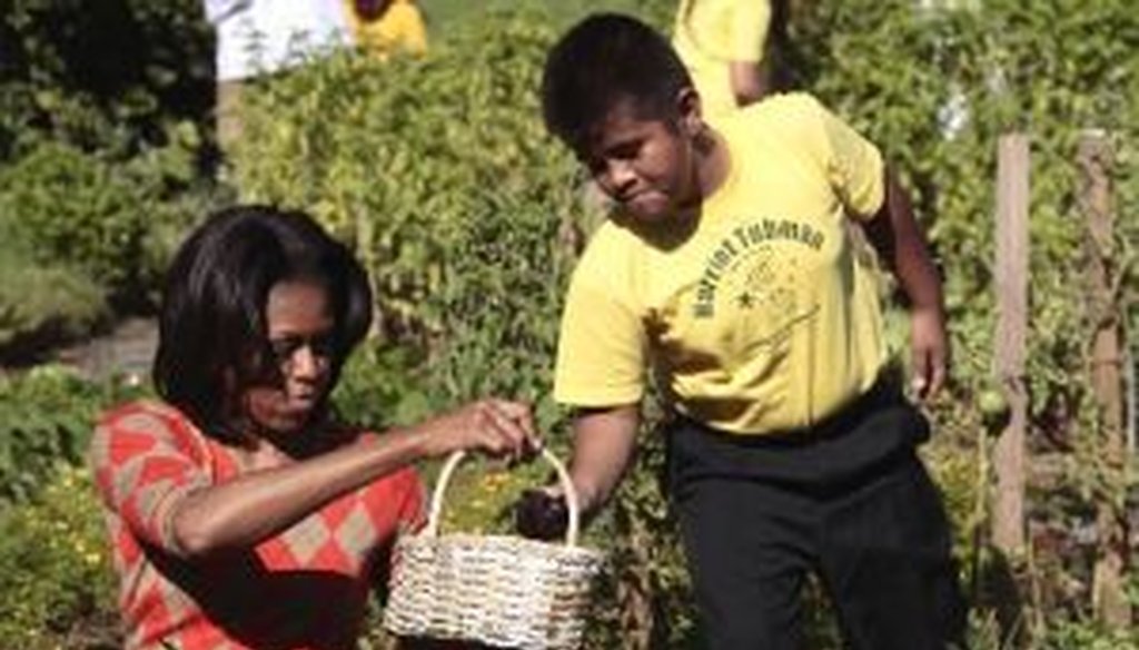 First Lady Michelle Obama recently published a book about her vegetable garden at the White House. However, she gave an incorrect statistic in an interview with NPR about the book.