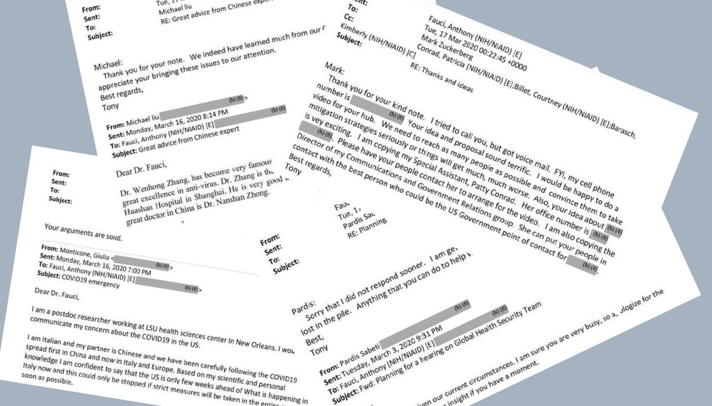 The release of hundreds of Dr. Anthony Fauci's emails reveals the quiet side of dealing with the pandemic. (Screenshot montage)