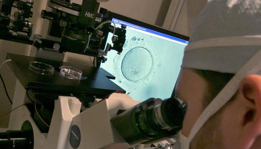 An embryologist uses a microscope to examine an embryo, visible on a monitor, center, at a clinic in New York on Oct. 3, 2013. (AP)