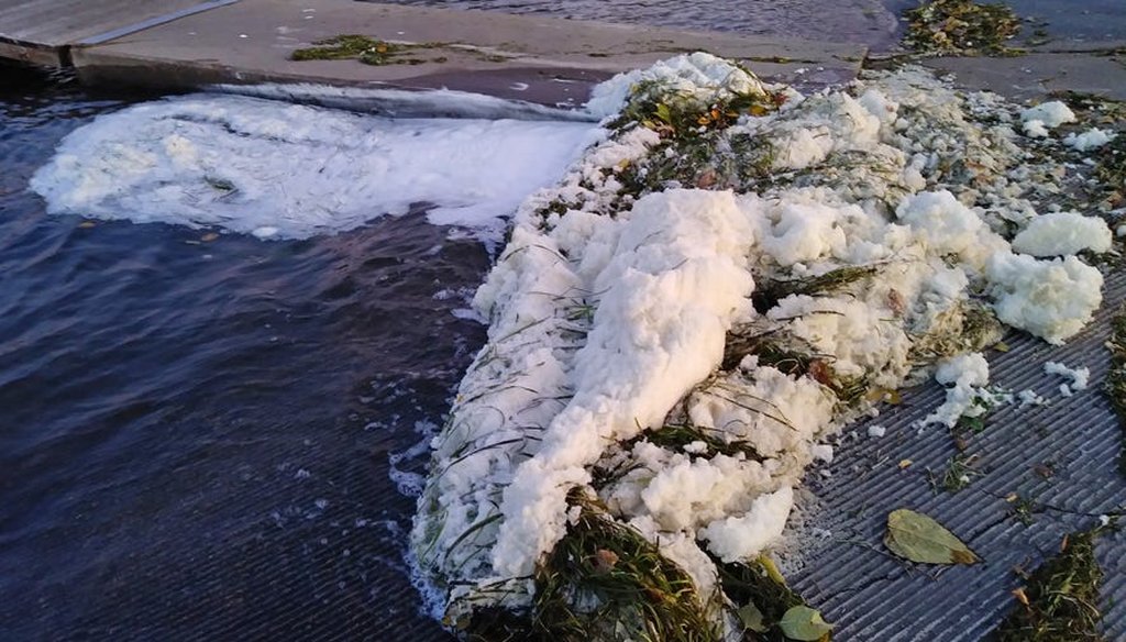 The Wisconsin DNR confirmed high levels of "forever" foam chemicals in Starkweather Creek, where it empties into Lake Monona in Madison. (Wisconsin Department of Natural Resources.)
