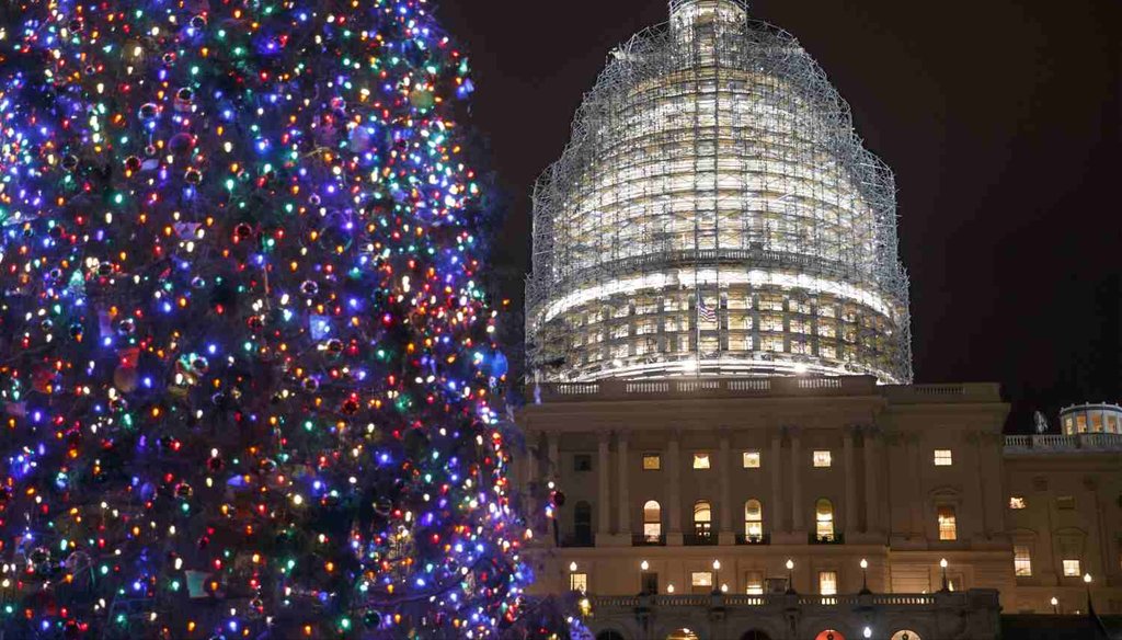The Capitol Dome and the Capitol Christmas Tree are illuminated on Dec. 11, 2014. (AP Photo)