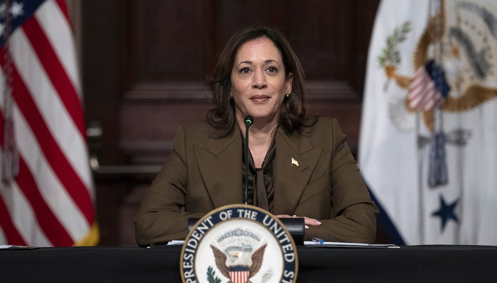 Vice President Kamala Harris speaks as she meets with voting rights leaders on Feb. 27, 2024. (AP)