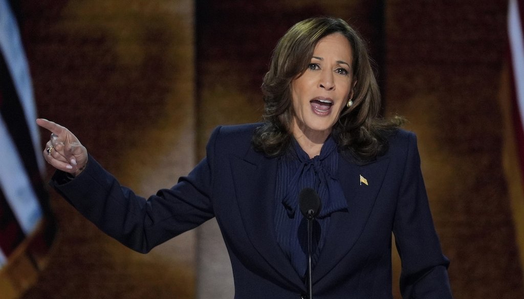 Vice President Kamala Harris speaks Aug. 22, 2024, during the Democratic National Convention in Chicago. (AP)