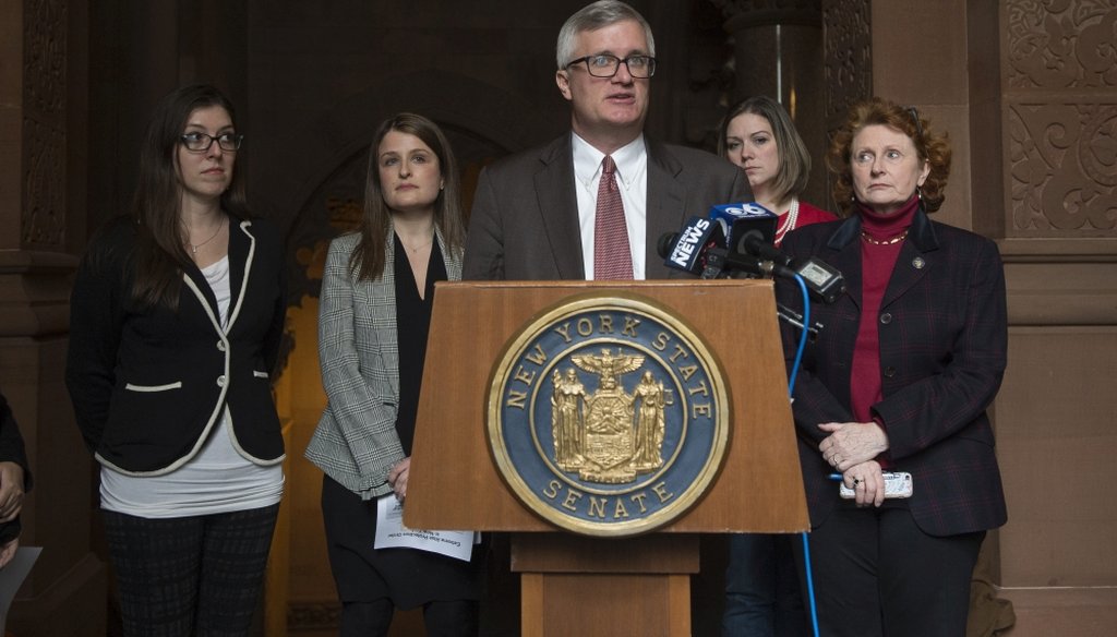 State Sen. Brian P. Kavanagh claimed New York state has the third lowest rate of gun-caused death in the country. (Courtesy: New York Senate Democratic Conference)
