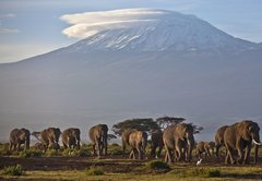 Kilimanjaro’s ice fields didn’t disappear by 2020. That doesn’t mean climate change isn’t happening