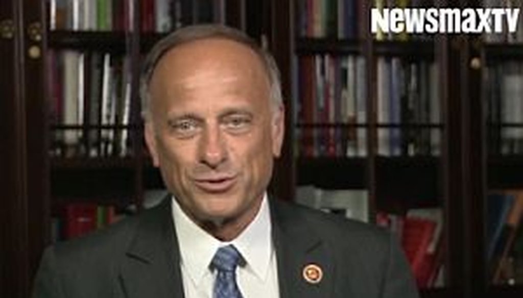 U.S. Rep. Steve King, R-Iowa, gave an interview on immigration to Newsmax.