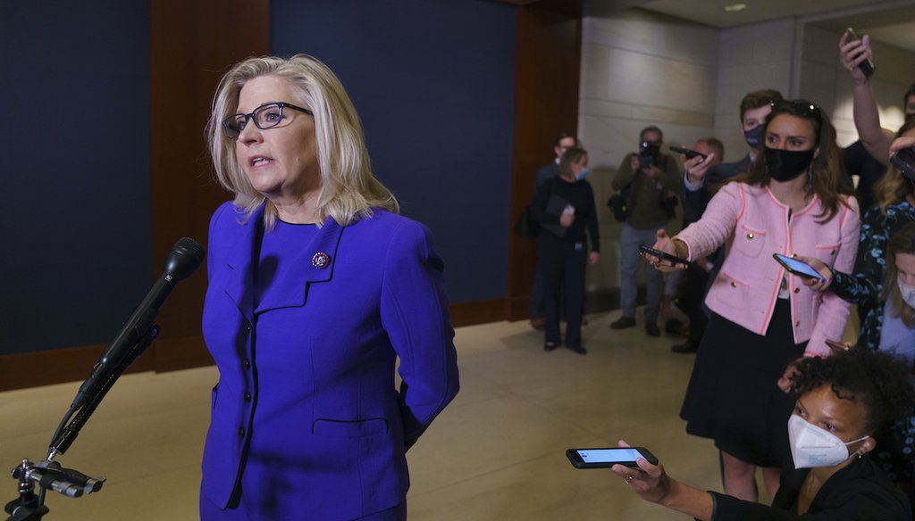 Rep. Liz Cheney, R-Wyo., speaks to reporters after House Republicans voted to oust her from her leadership post as chair of the House Republican Conference on May 12, 2021. (AP)
