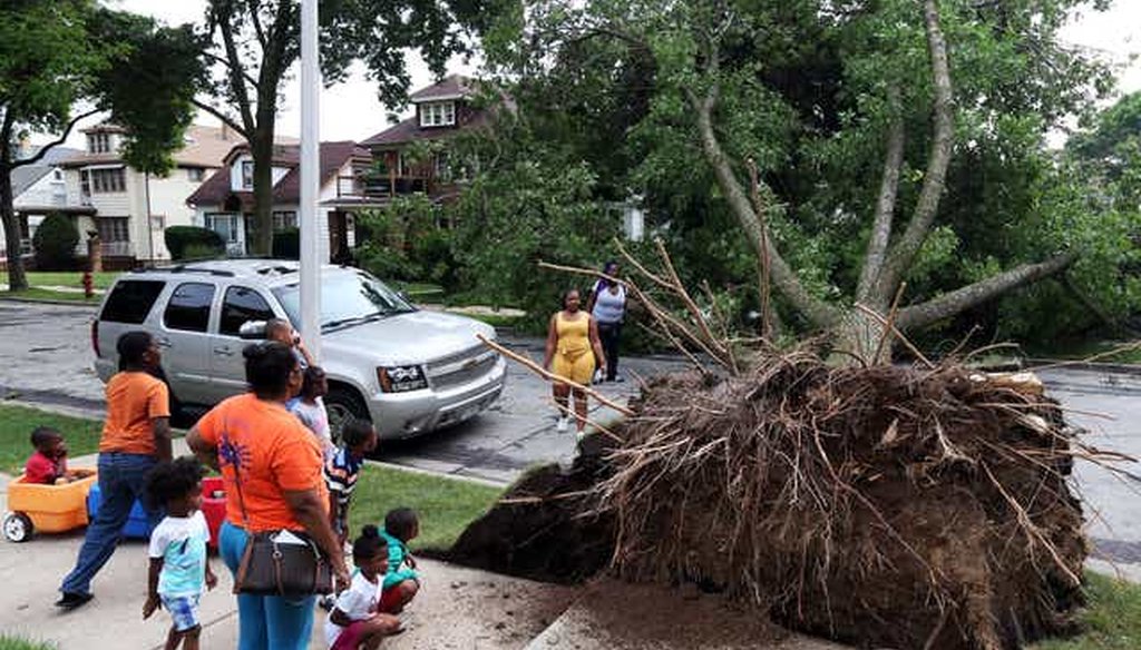 A tree uprooted during a storm fell across a city street at N. 54th and W. Locust Sts. Aug. 11, 2021 in Milwaukee. (Angela Peterson / Milwaukee Journal Sentinel.)