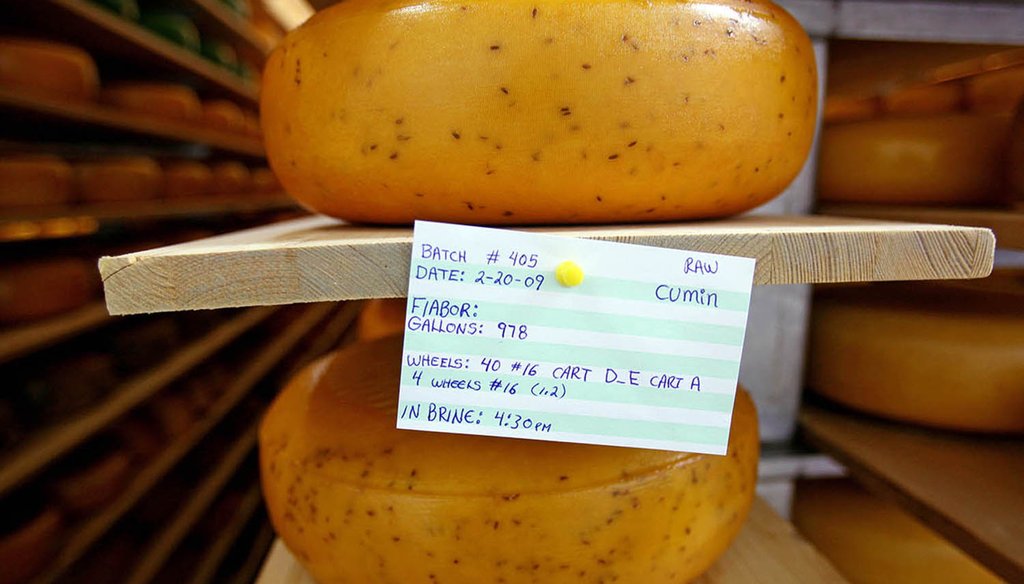 Cumin Gouda cheese ages on pine planks in the curing room March 3, 2009 at the Penterman cheese operation in Thorp, Wis. Marieke Penterman is featured in Sen. Tammy Baldwin's "cheesy ad." (Mark Hoffman/ Milwaukee Journal Sentinel)