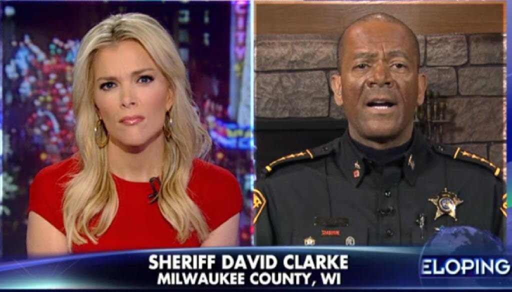 Milwaukee County Sheriff David A. Clarke Jr. has built a national profile in part by appearing on Fox News talk shows such as the one hosted by Megyn Kelly. 