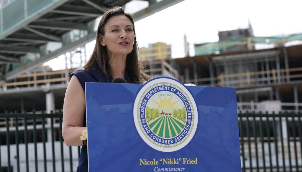 Florida Agriculture Commissioner Nikki Fried speaks during a news conference in Miami. (AP)
