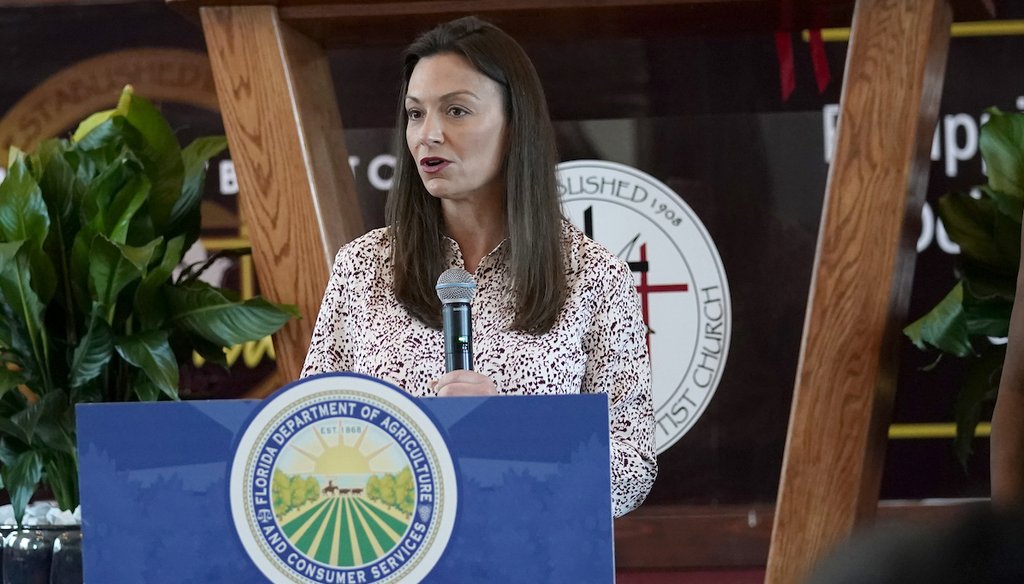 Florida Agriculture Commissioner Nikki Fried speaks on Aug. 26, 2021, at the St. Ruth Missionary Baptist Church in Dania Beach, Fla. (AP)