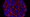 This undated microscope image from USC via the NIH shows pancreatic cancer cells, nuclei in blue, growing as a sphere encased in membranes, red. (AP)