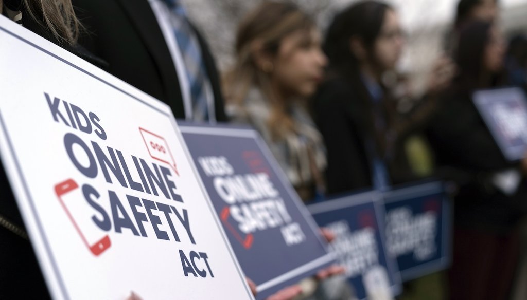People rally to protect kids online on Capitol Hill in Washington, Jan. 31, 2024. (AP)