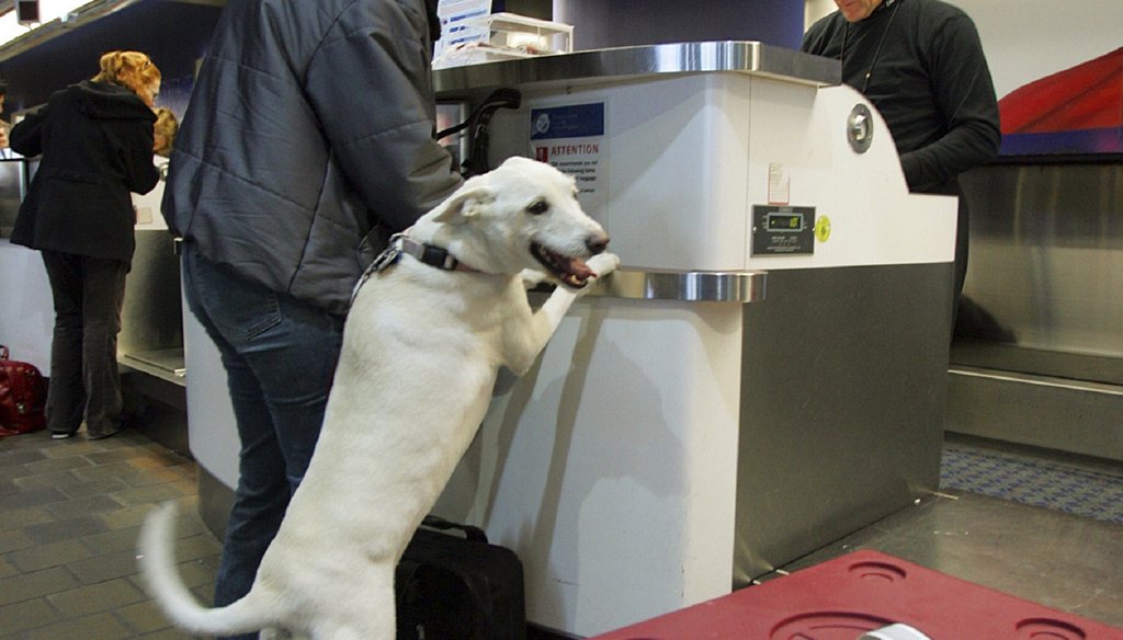 A traveler checks in with her dog at the Delta Air Line counter at LaGuardia Airport in New York. AP File photo.