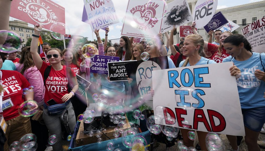 A celebration by opponents of abortion outside the Supreme Court on June 24, 2022. (AP)