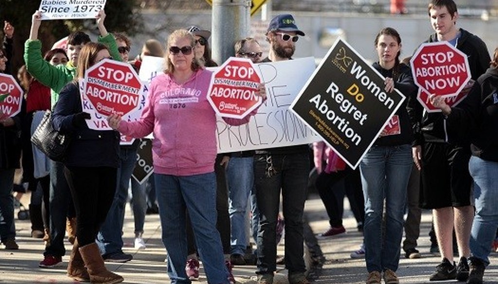 Pro-life marchers walk through downtown Raleigh on Jan. 16, 2016 during a protest against abortion. 