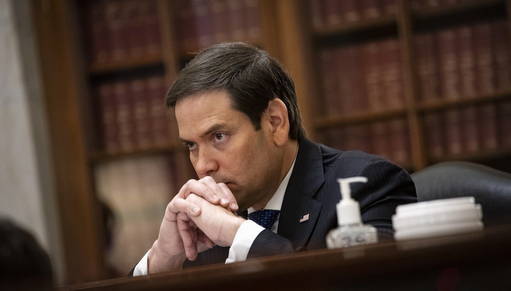 Sen. Marco Rubio, R-Fla., listens during a Senate hearing to examine the implementation of the CARES Act Wednesday, June 10, 2020, in Washington. (AP)
