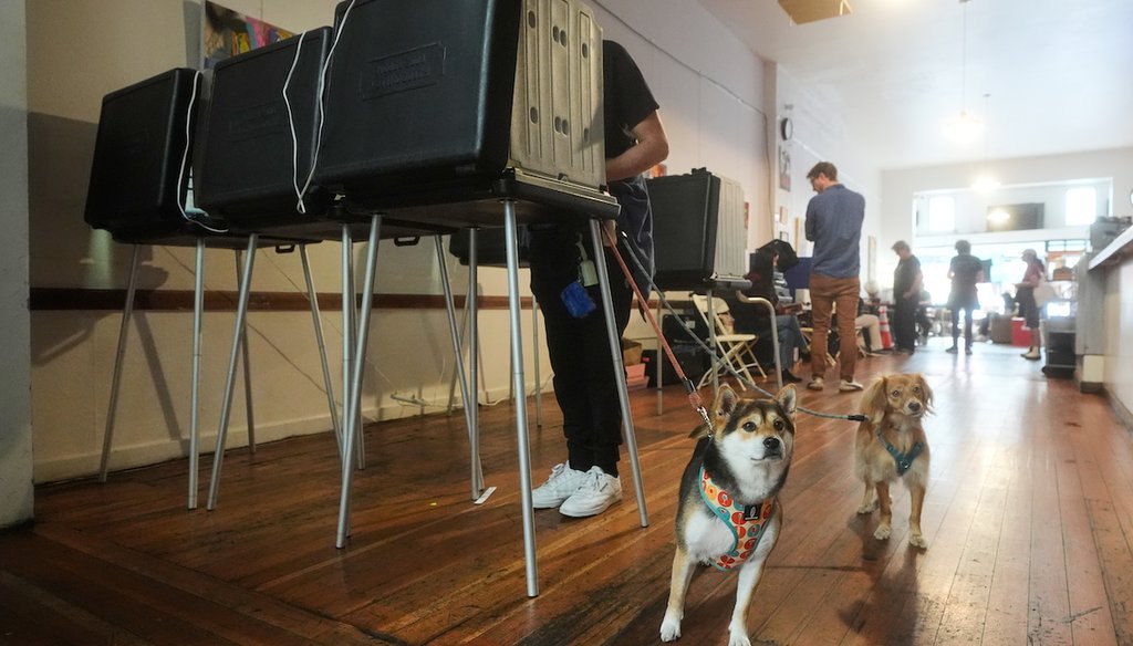 Pete Ballmer votes while his dogs Poppy, center, and Lilah wait at International Cafe on Nov. 4, 2025, in San Francisco. (AP)