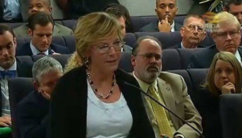 Marjorie Sanfilippo testifies before a Senate panel on a proposed gun law.