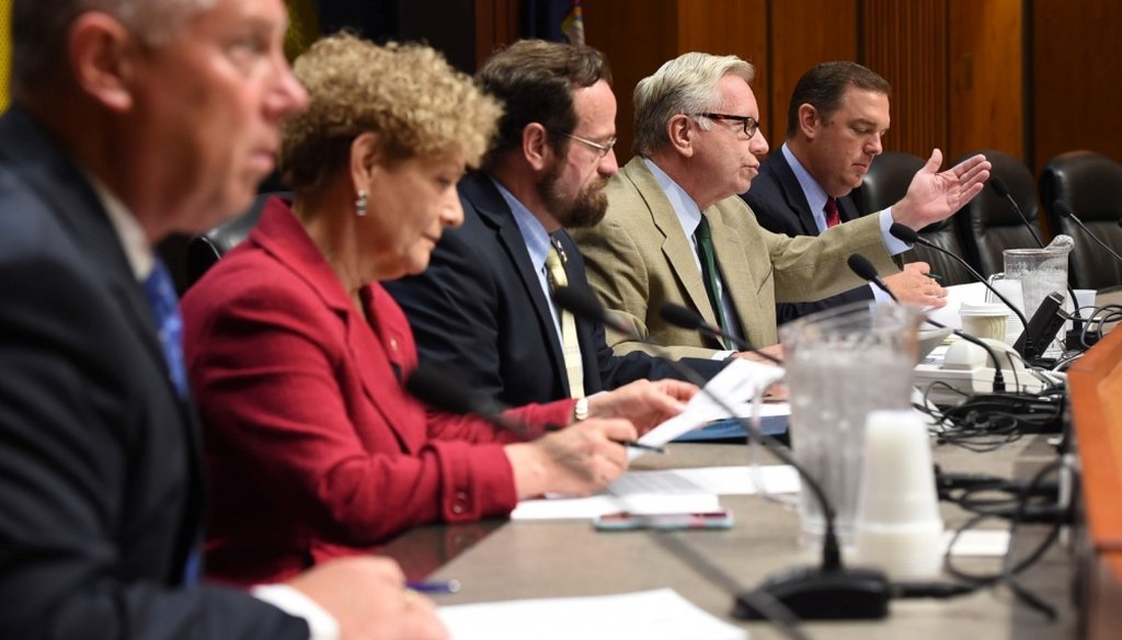 Assemblyman Robin Schimminger and other lawmakers hold a hearing on economic development on Aug. 3, 2016 (Courtesy: Schimminger's website)
