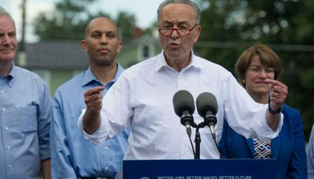 Senate Minority Leader Charles Schumer, D-N.Y., flanked by congressional Democrats, speaks in Berryville, Va., on July 24, 2017, to unveil a new agenda. (AP/Cliff Owen)
