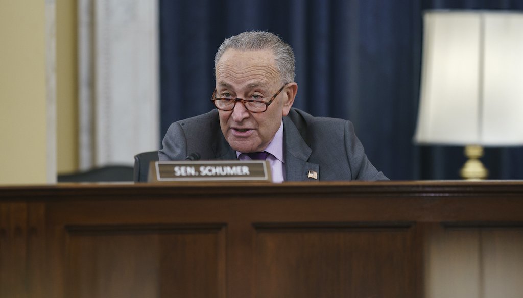 Senate Majority Leader Chuck Schumer, D-N.Y., speaks as the Senate Rules Committee holds a hearing on the "For the People Act," which would expand access to voting and other voting reforms, at the Capitol in Washington, Wednesday, March 24, 2021. (AP)