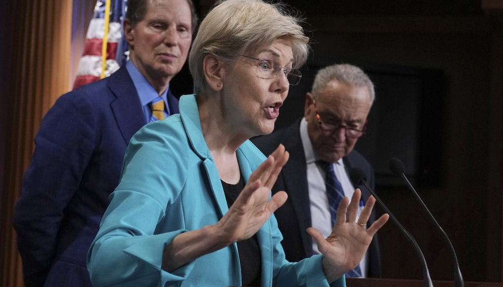 Sen. Elizabeth Warren, D-Mass., center, is flanked by Sen. Ron Wyden, D-Ore., left, and Senate Minority Leader Chuck Schumer, D-N.Y. at the Capitol in Washington D.C. June 18, 2025. (AP)