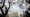 The Supreme Court of the United States is seen on Capitol Hill, Thursday, Feb. 27, 2025, in Washington. (AP)