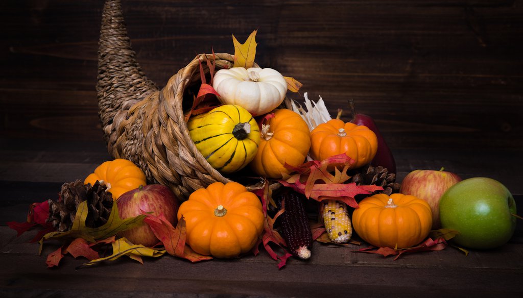 Happy Thanksgiving from PolitiFact. (Shutterstock)