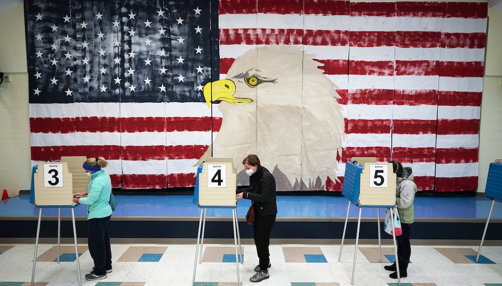 Voters cast their ballots under a giant mural at Robious Elementary school in Midlothian, Va., Tuesday Nov. 3, 2020. (AP)