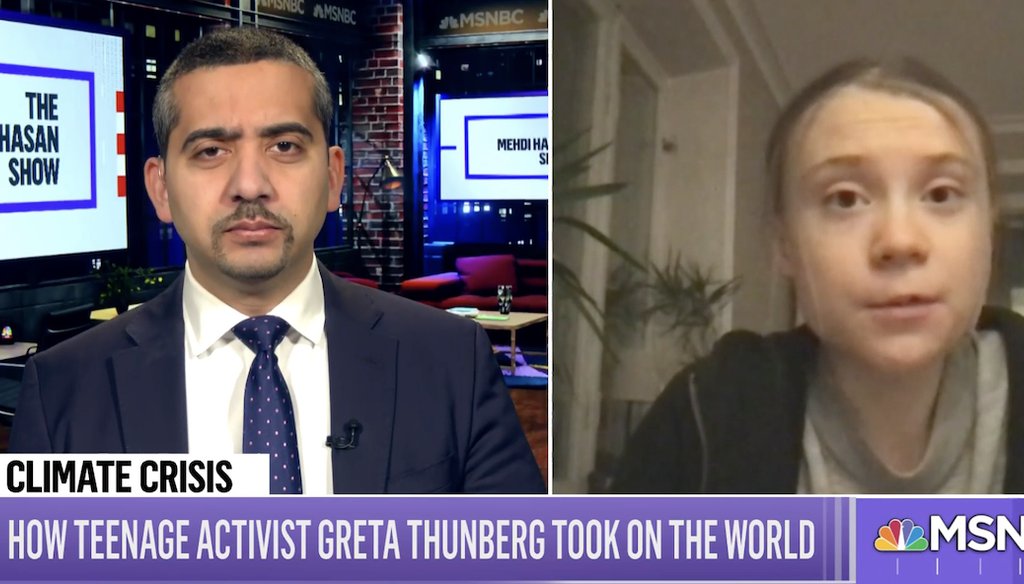 Swedish climate change activist Greta Thunberg is interviewed on MSNBC. (Screenshot)