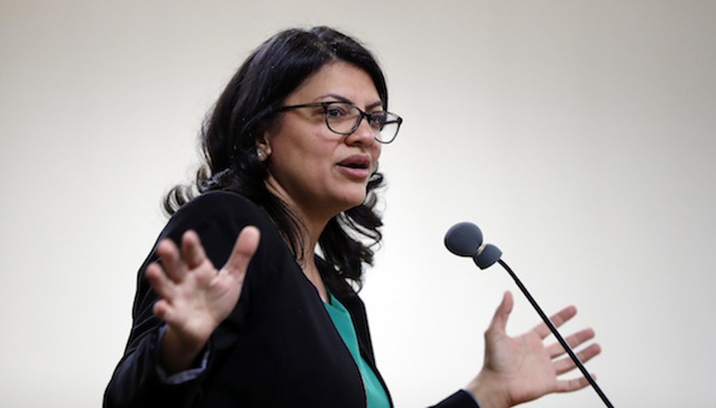 Rashida Tlaib, Democratic candidate for Michigan's 13th Congressional District, speaks at a rally in Dearborn, Mich., Friday, Oct. 26, 2018. (AP)