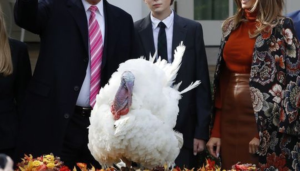 Drumstick the turkey is pardoned by President Trump, as Barron Trump and first lady Melania Trump look on, Nov. 21, 2017, in the Rose Garden. (AP)