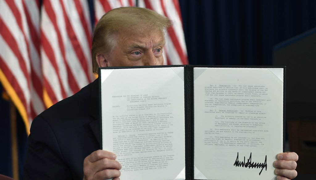 President Donald Trump signs an executive order during a news conference at the Trump National Golf Club in Bedminster, N.J. (AP Photo/Susan Walsh)