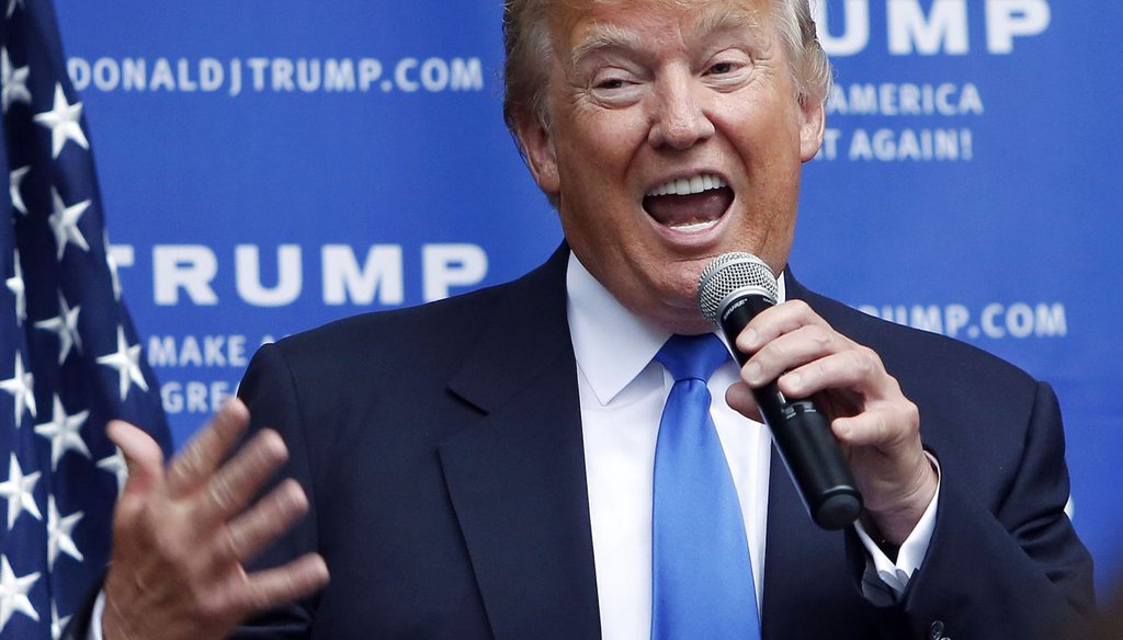Republican presidential candidate Donald Trump speaks at a house party in Bedford, N.H., on June 30, 2015. (AP Photo)