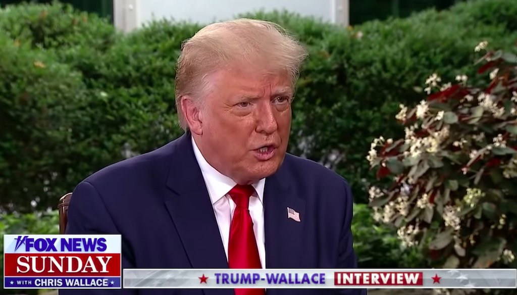 President Donald Trump sits down for an extended interview with Fox News host Chris Wallace. (Screenshot)