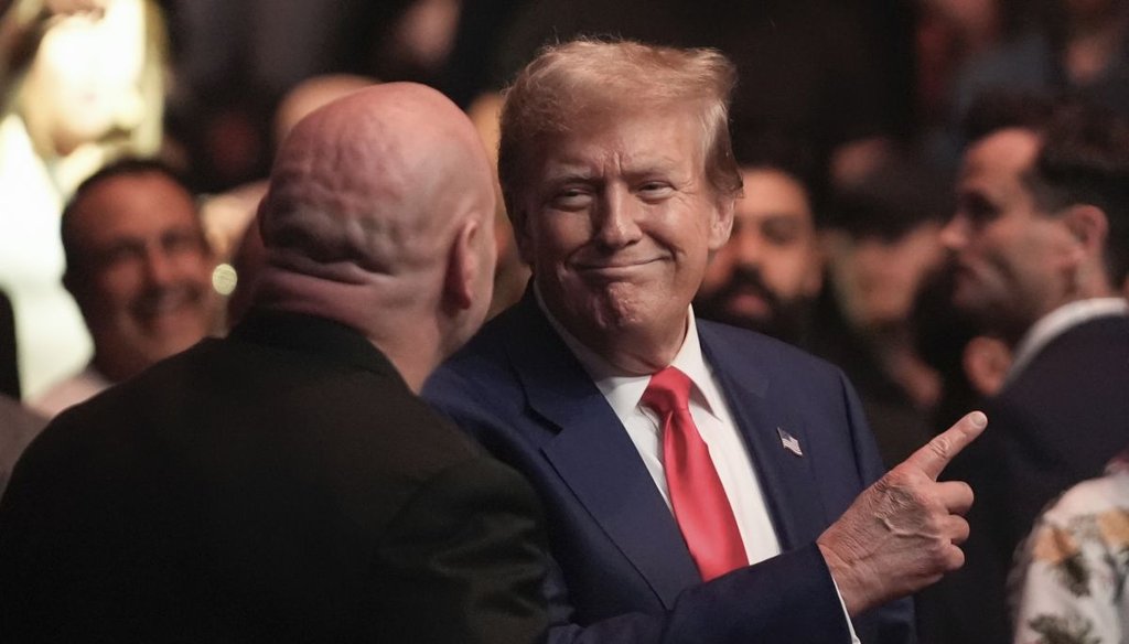 Former President Donald Trump at a UFC 302 mixed martial arts event on June 1, 2024, in Newark, N.J. (AP)
