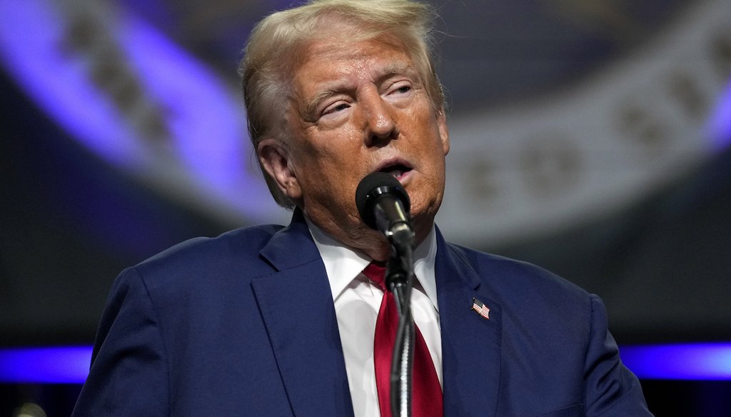 Former President Donald Trump speaks Aug. 26, 2024, at the National Guard Association of the United States' 146th General Conference in Detroit. (AP)