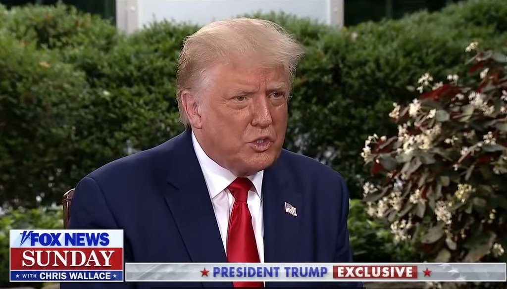 President Donald Trump sits for an interview with Fox News' Chris Wallace. The interview aired on July 19, 2020. (Screenshot)