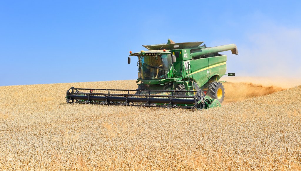 Attacks by Russia have battered the harvest of wheat and other grains in Ukraine. (Shutterstock)