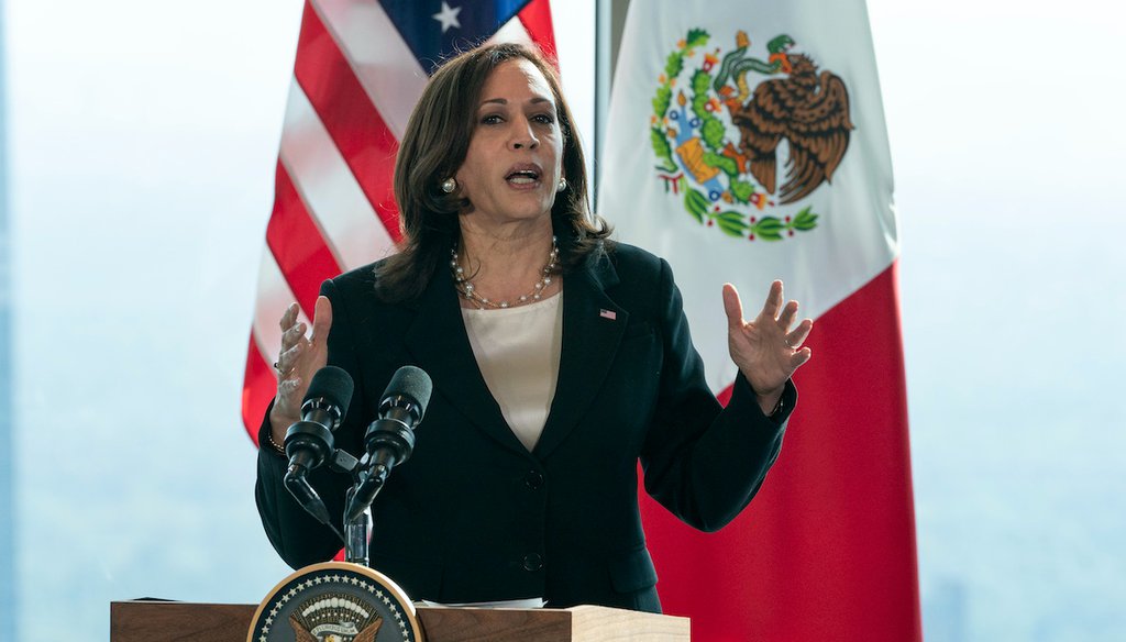Vice President Kamala Harris speaks to the media, June 8, 2021, in Mexico City. (AP)