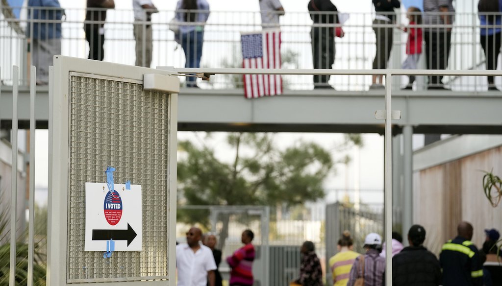 Voters wait line at a polling place at the Michelle and Barack Obama Sports Complex on Election Day, Nov. 5, 2024, in Los Angeles. (AP)