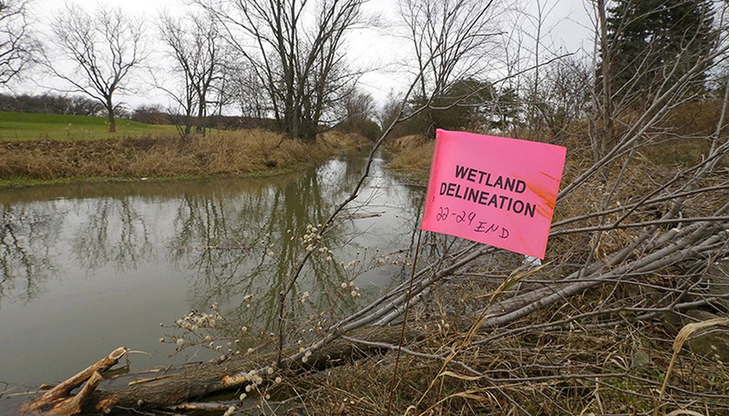 Legislation exempted Foxconn from some environmental requirements, allowing the company to fill in wetlands that are regulated by the state and change the course of streams. Mike De Sisti /Milwaukee Journal Sentinel