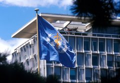 Fact-checking Donald Trump’s criticism of the World Health Organization