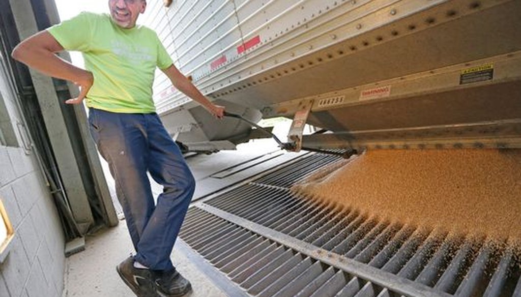 Dale Rahmlow, of Rahmlow Farms in Mishicot, Wis., unloads a truckload of soft red winter wheat from his truck. The value of total U.S. agricultural exports exceeds tens of billions of dollars per year. (Milwaukee Journal Sentinel/Mike De Sisti)