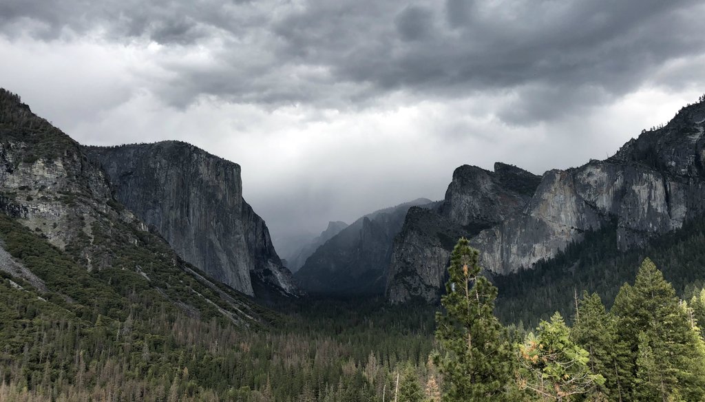 Yosemite National Park. Photo by Ezra David Romero / Capital Public Radio
