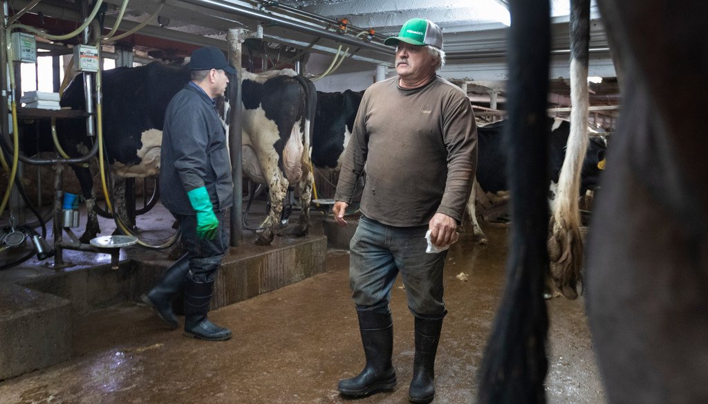 Roger Rueth, right, does his evening milking Wednesday, April 29, 2020 on his farm east of Loyal, Wis. (Photo by Mark Hoffman, Milwaukee Journal Sentinel)