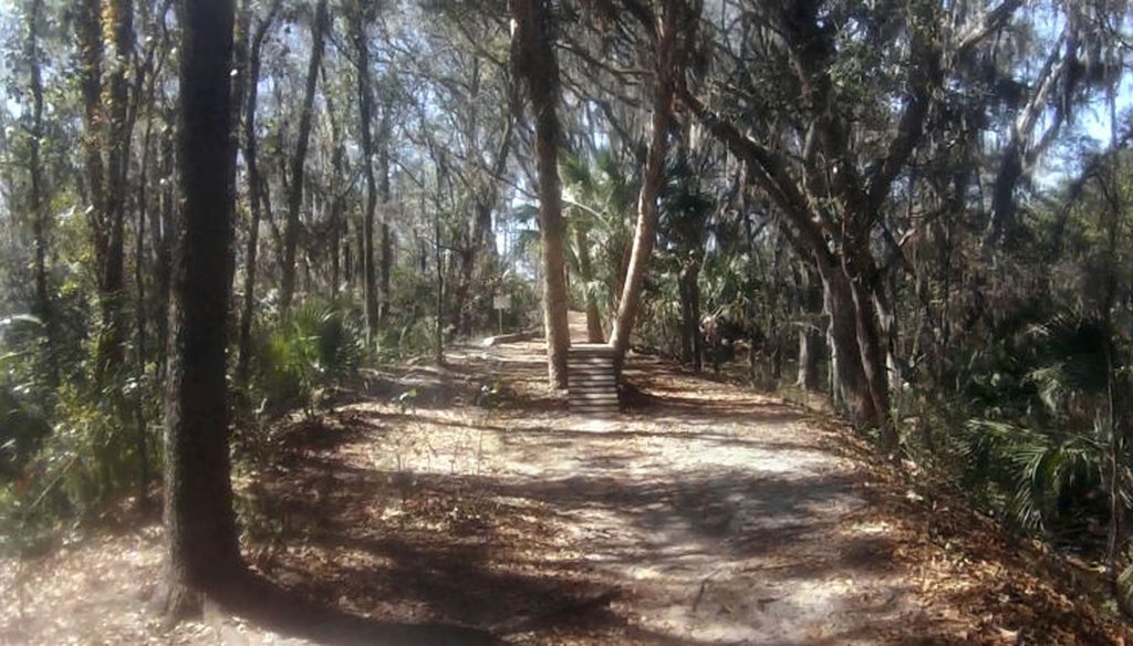 The bike trails at Alafia River State Park in Lithia are labeled to indicate easy, intermediate or difficult. (Tampa Bay Times)